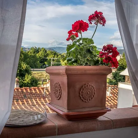 Apartman Bandinelli *